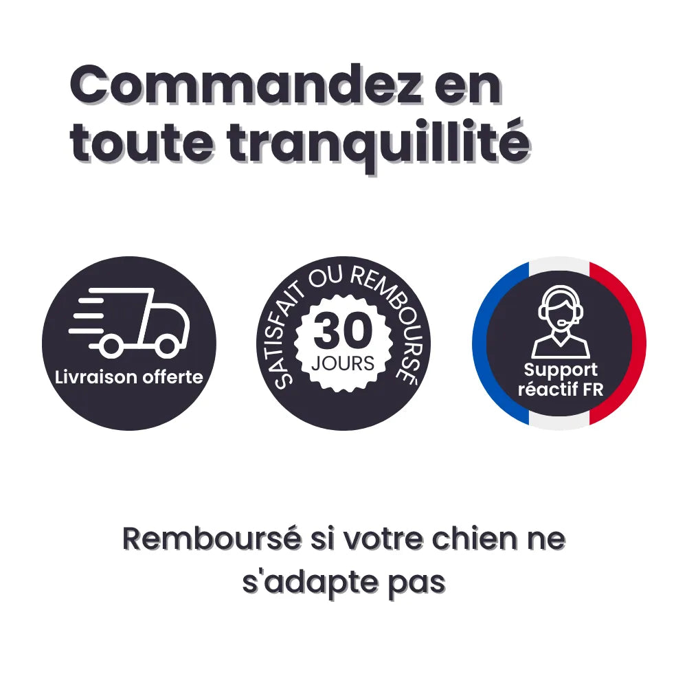 Laisse Anti-Traction Pour Chien