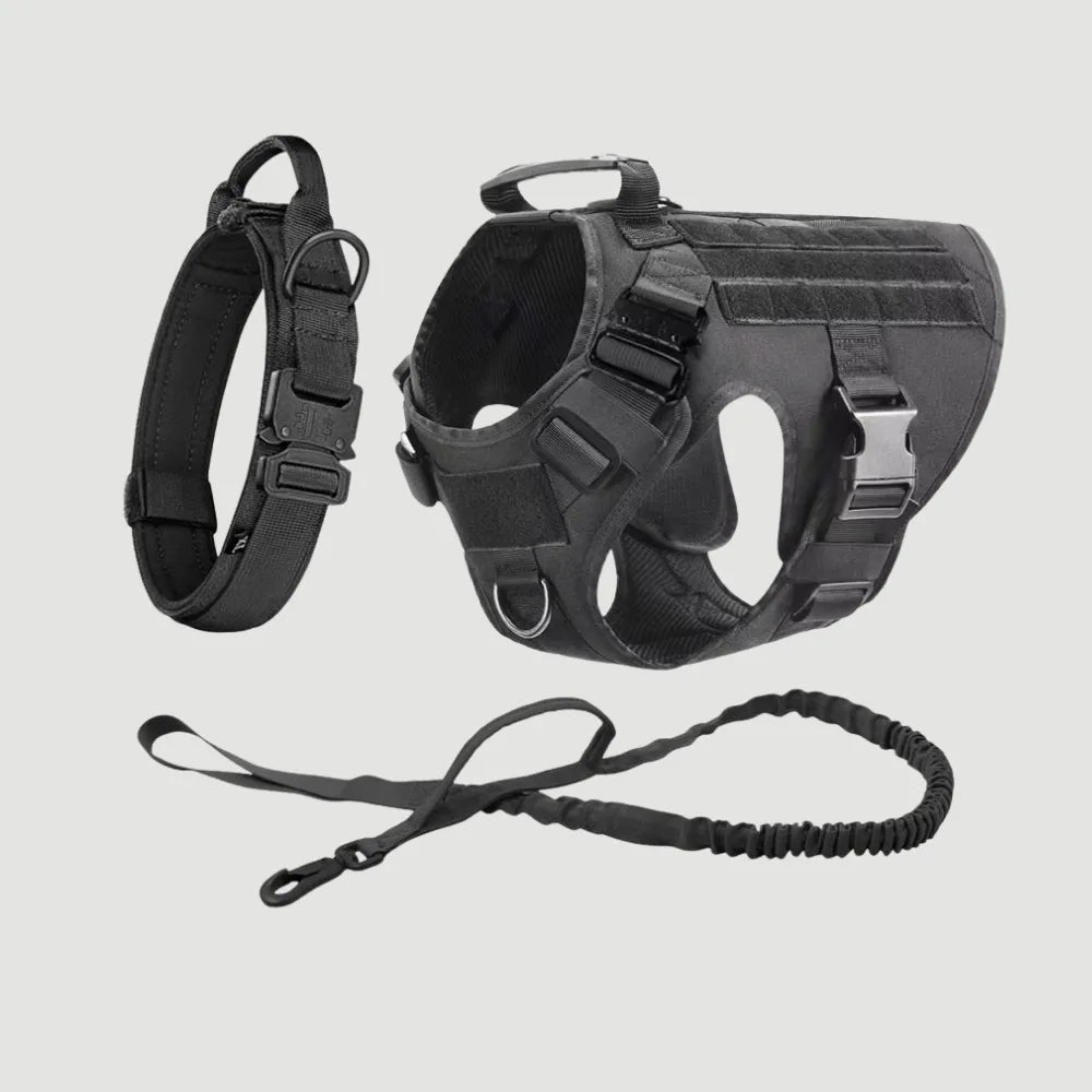 Harnais Anti-Traction - Pack Confort