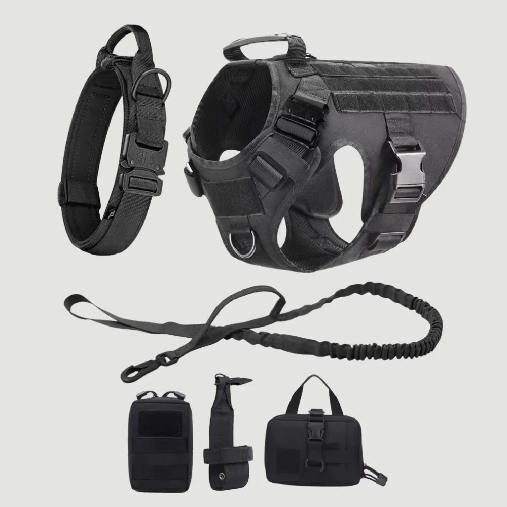 Harnais Anti-Traction - Pack Pro