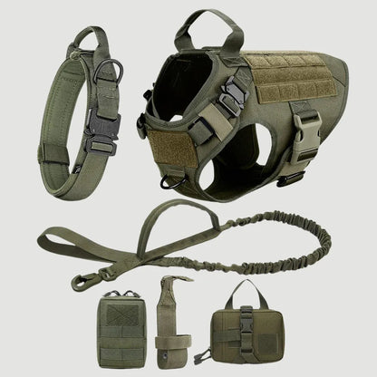 Harnais Anti-Traction - Pack Pro