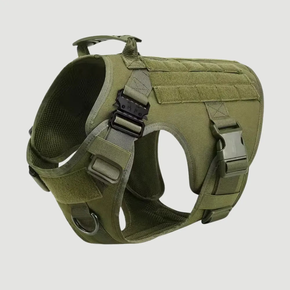 Harnais Anti-Traction - Pack Pro
