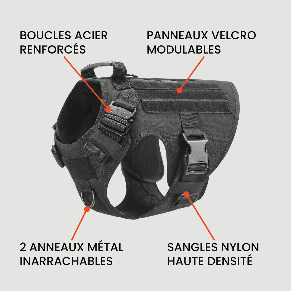 Harnais Anti-Traction - Pack Pro