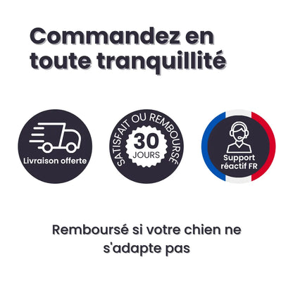 Laisse Anti-Traction Pour Chien