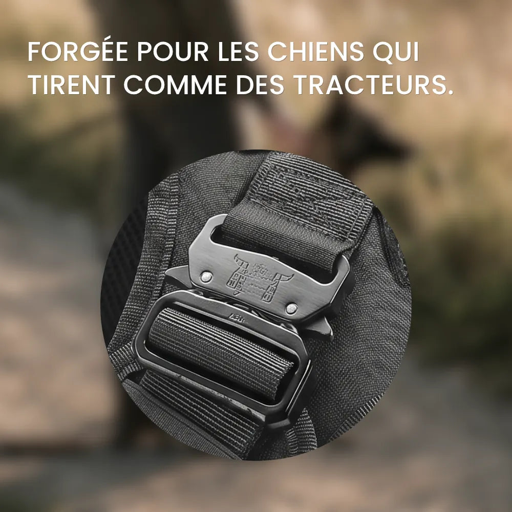 Harnais Anti-Traction - Pack Pro