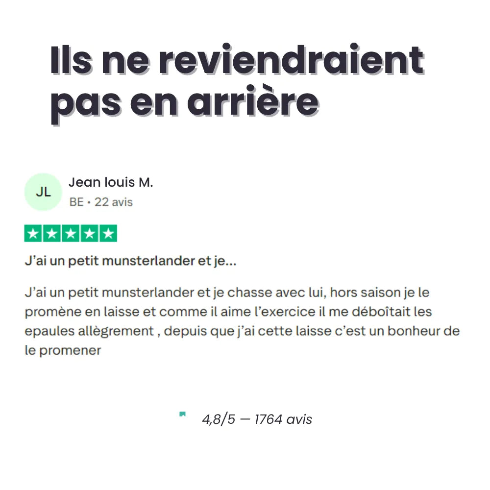 Laisse Anti-Traction Pour Chien