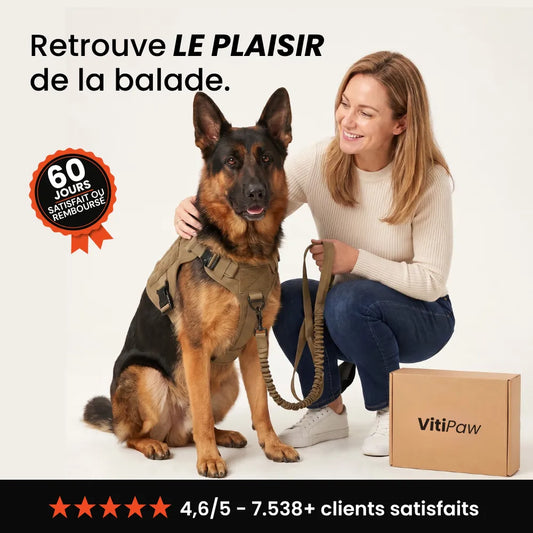 Harnais Anti-Traction VitiPaw