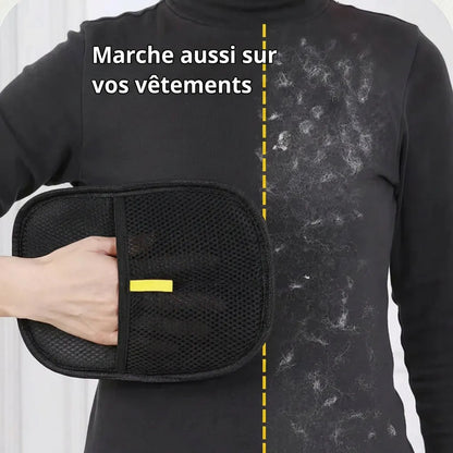 Gant Brosse Anti-Poils