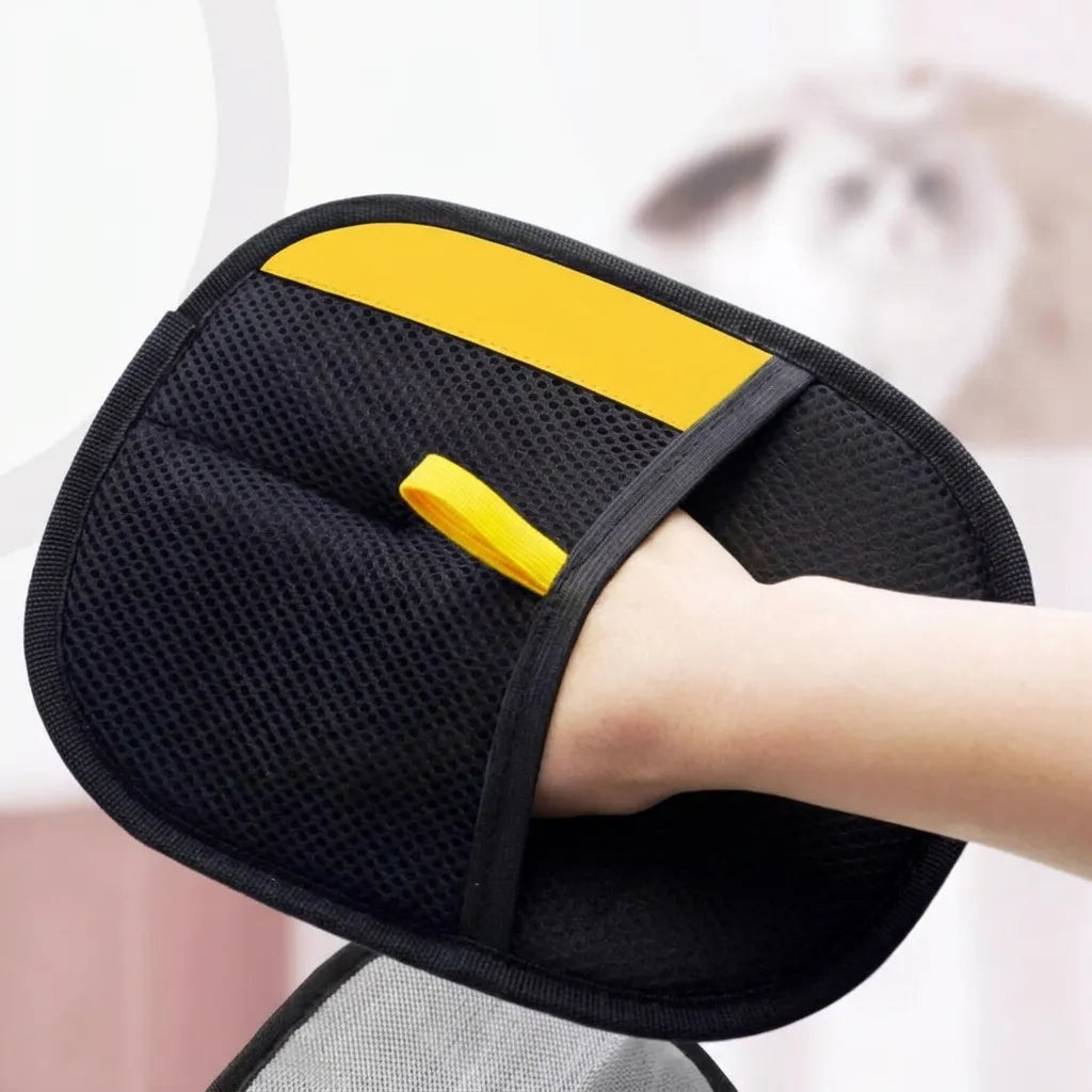 Gant Brosse Anti-Poils