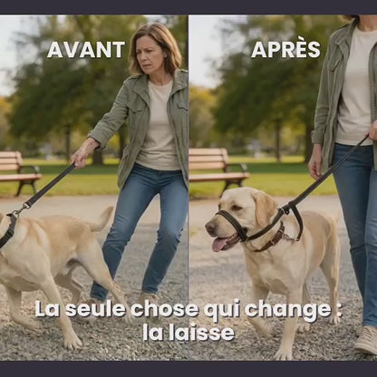 Laisse Anti-Traction Pour Chien